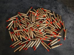 Zbijak .223
