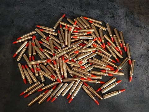 Zbijak .223